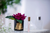 Cote Noire Natural Touch Single Rose - Carmine Red