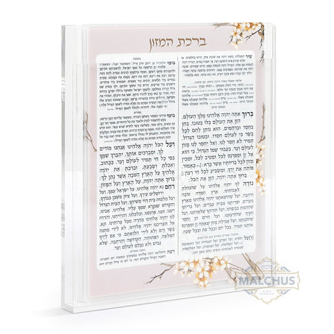 Lucite Birchat Hamazon Cards with Magnet Holder (6)