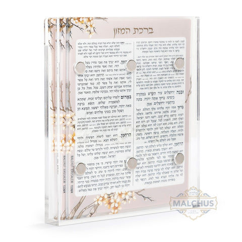 Lucite Birchat Hamazon Cards with Magnet Holder (6)