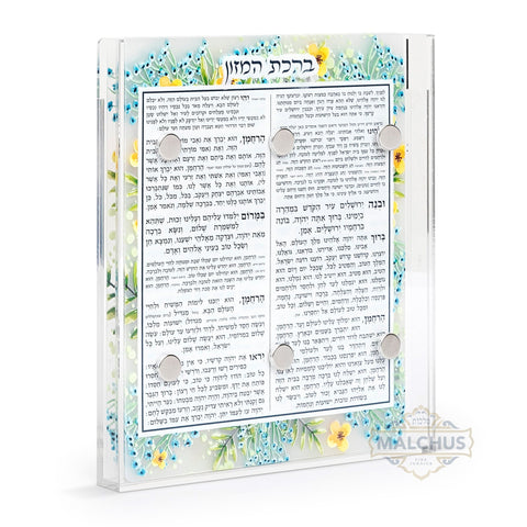 Lucite Birchat Hamazon Cards with Magnet Holder (6)